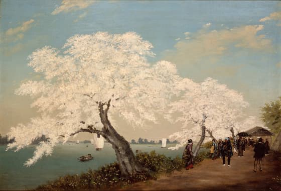 隅田堤の桜
