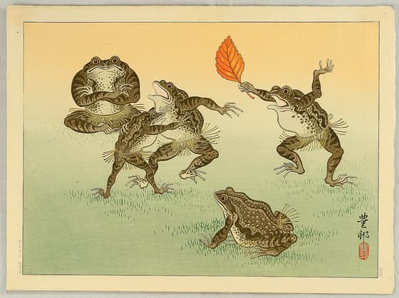 蛙の相撲（川口版）