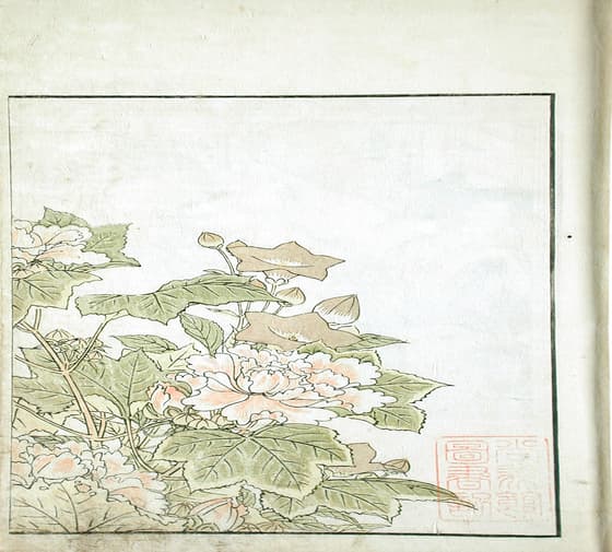 青楼美人合姿鏡 芙蓉図