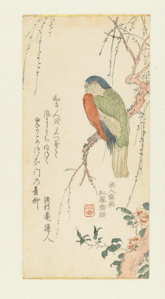 梅に鸚鵡