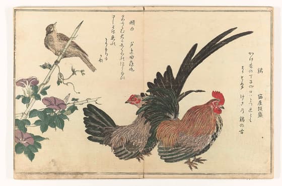朝顔に鶏