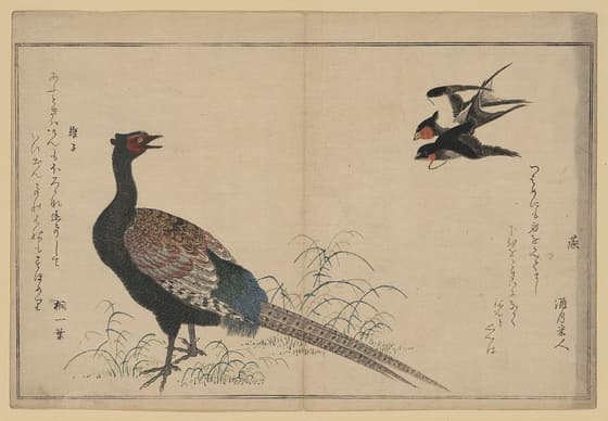 燕・雉