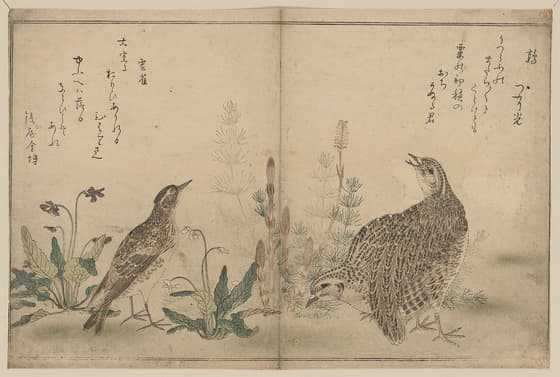 鶉・雲雀