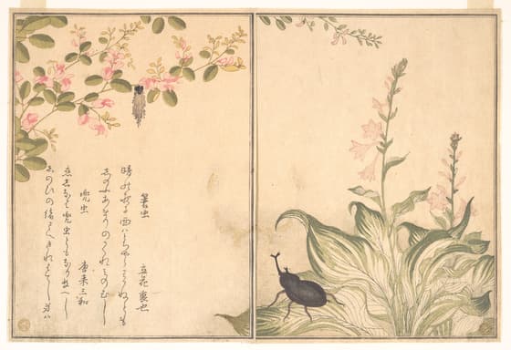 『画本虫撰』「蓑虫」「兜虫」
