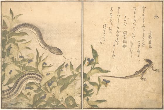 『画本虫撰』「虵」「とかけ」