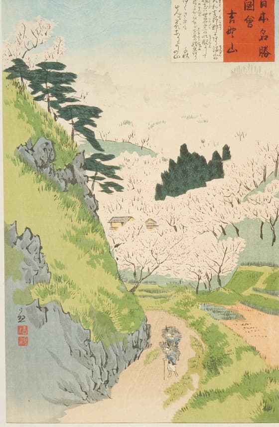 吉野山の桜