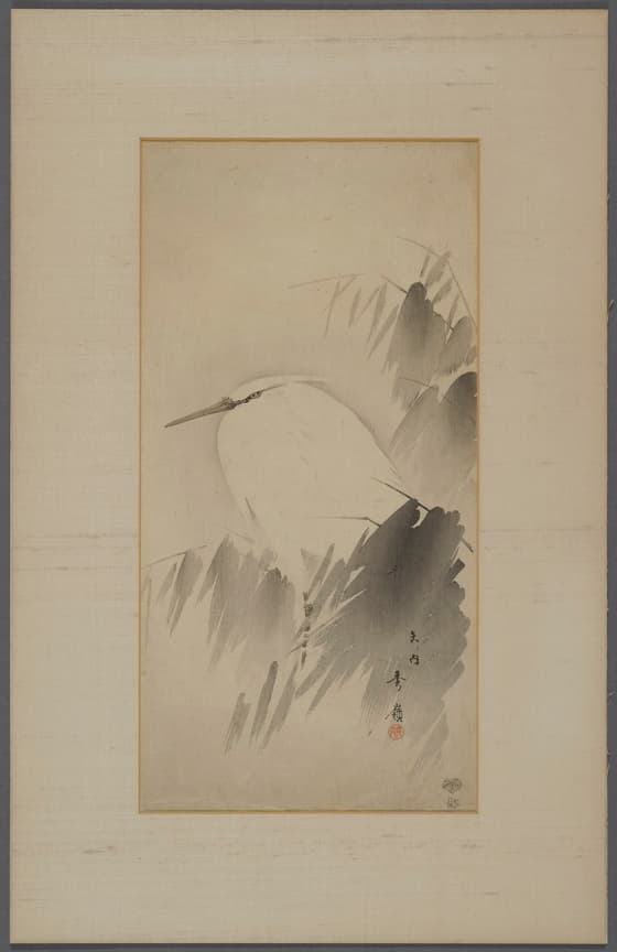 Heron