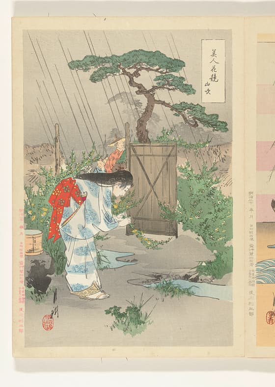 Vrouw buigend over Yamabuki struik