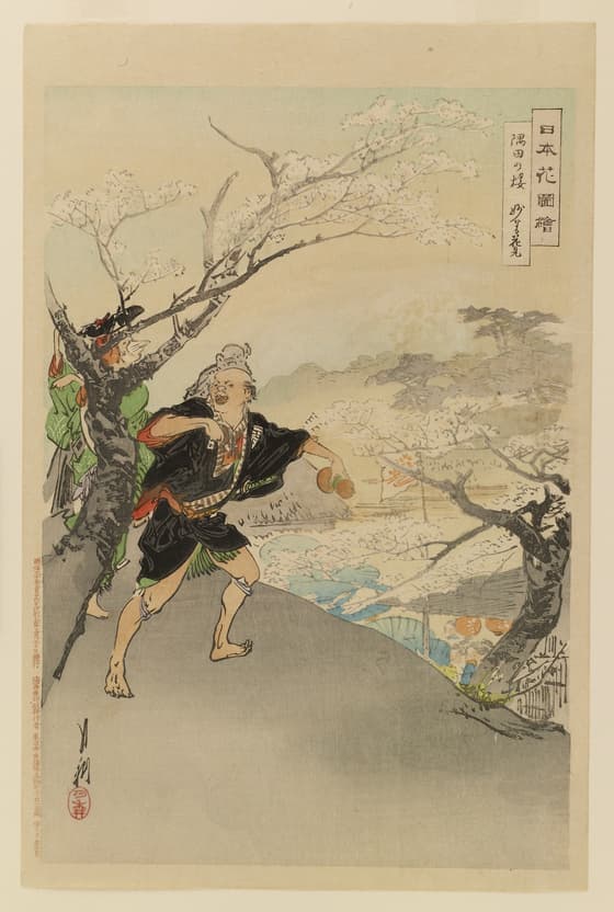 Not everyone who views the cherry blossoms in the park along the Sumidsa River in Tokyo need be passive or contemplative. Drinking sake with your friends is also an annual rite