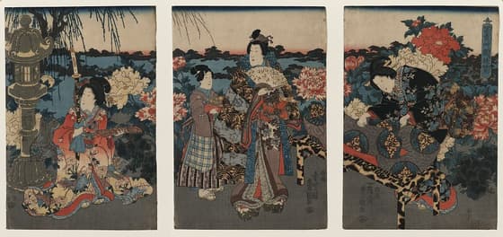 富貴草園の遊覧