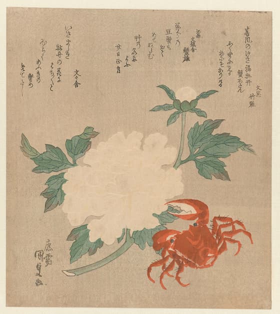 牡丹に蟹