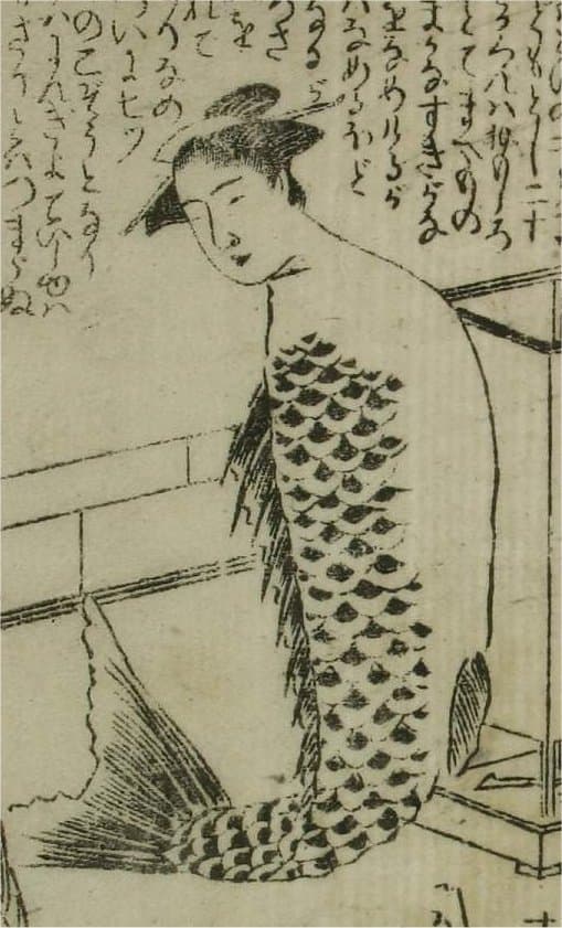 箱入娘面屋人魚　人魚