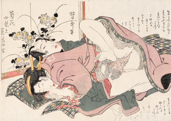 狸寝入り
