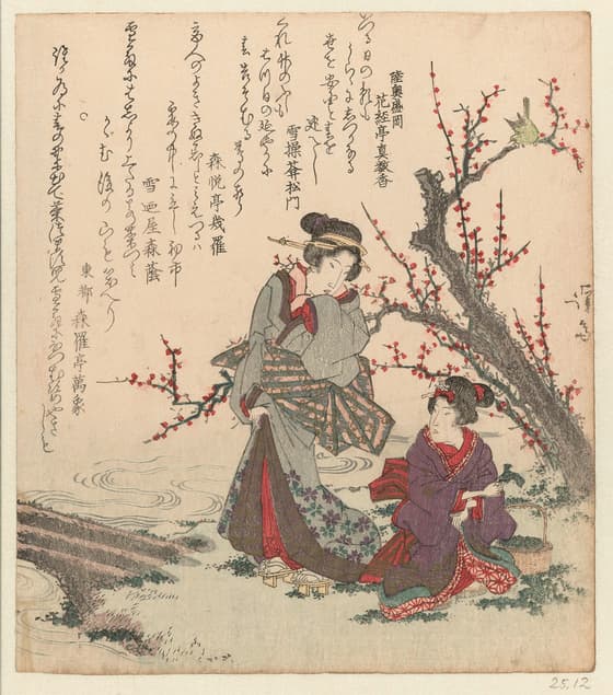 若菜摘み