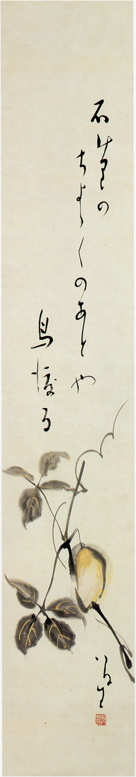 石けりの(烏瓜)