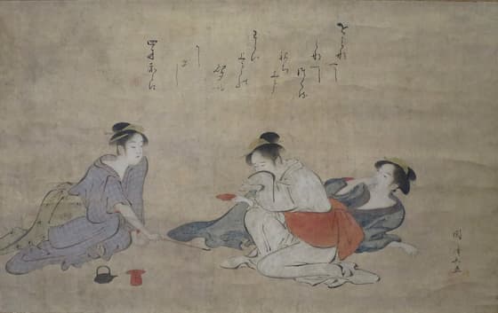 酔美人