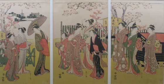 Cherry Blossom Viewing