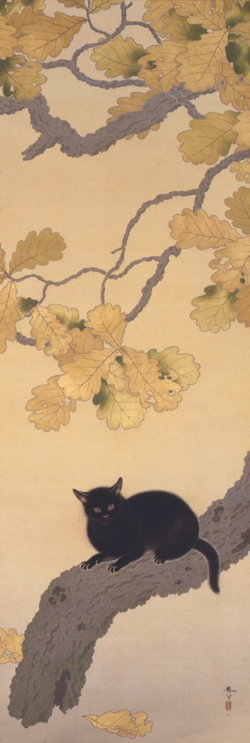 黒き猫