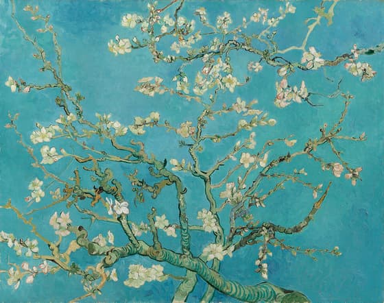 花咲くアーモンドの木の枝