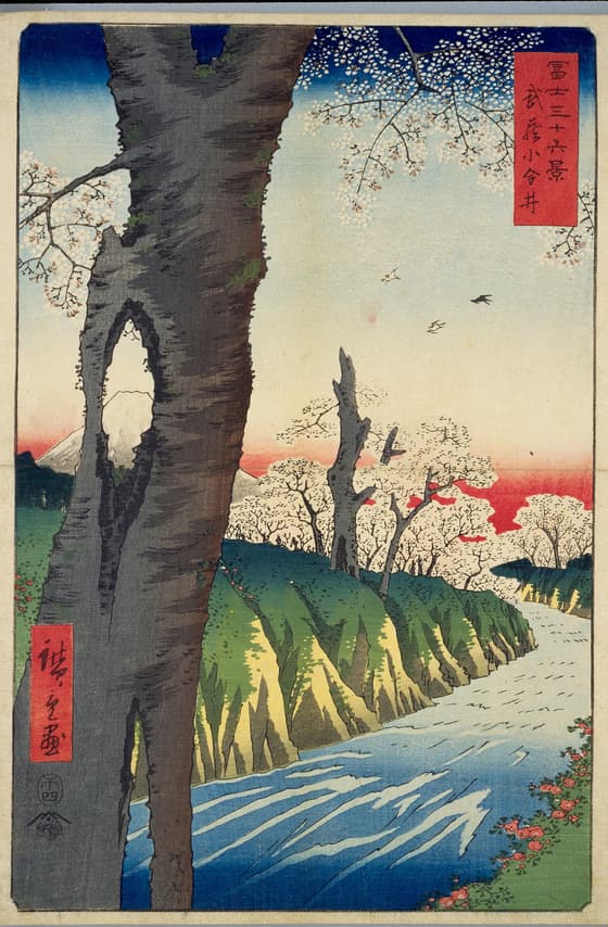 冨士三十六景　武蔵小金井