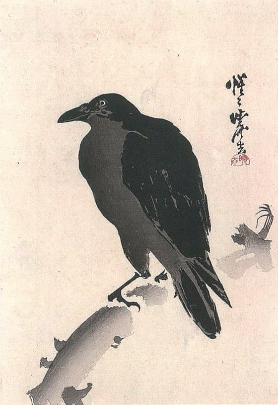 枝に止まる鴉