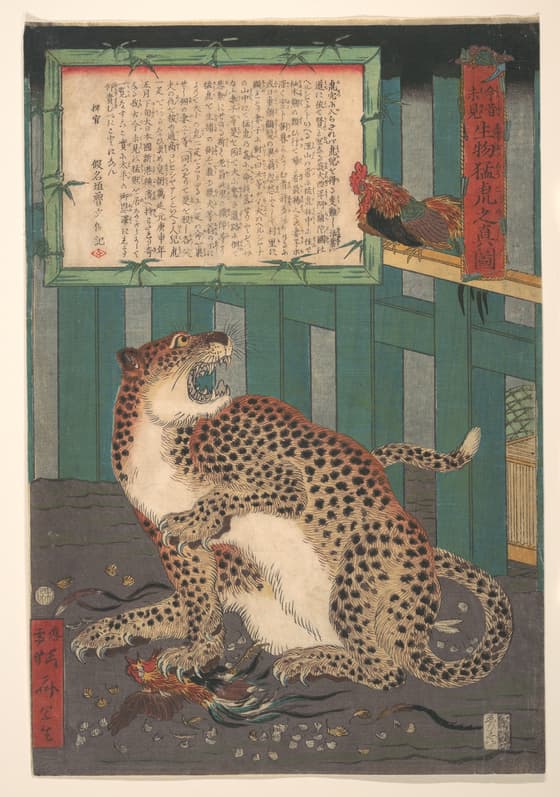 今昔未見　生物猛虎之真図
