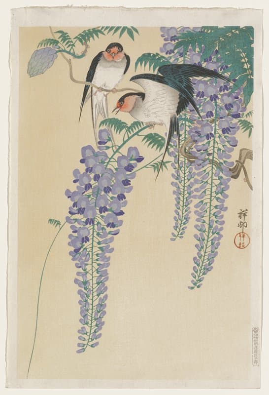 藤に燕（渡辺版）