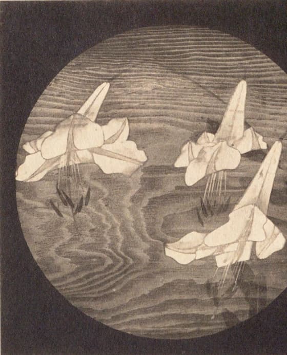 花卉図（信行寺天井画）其一