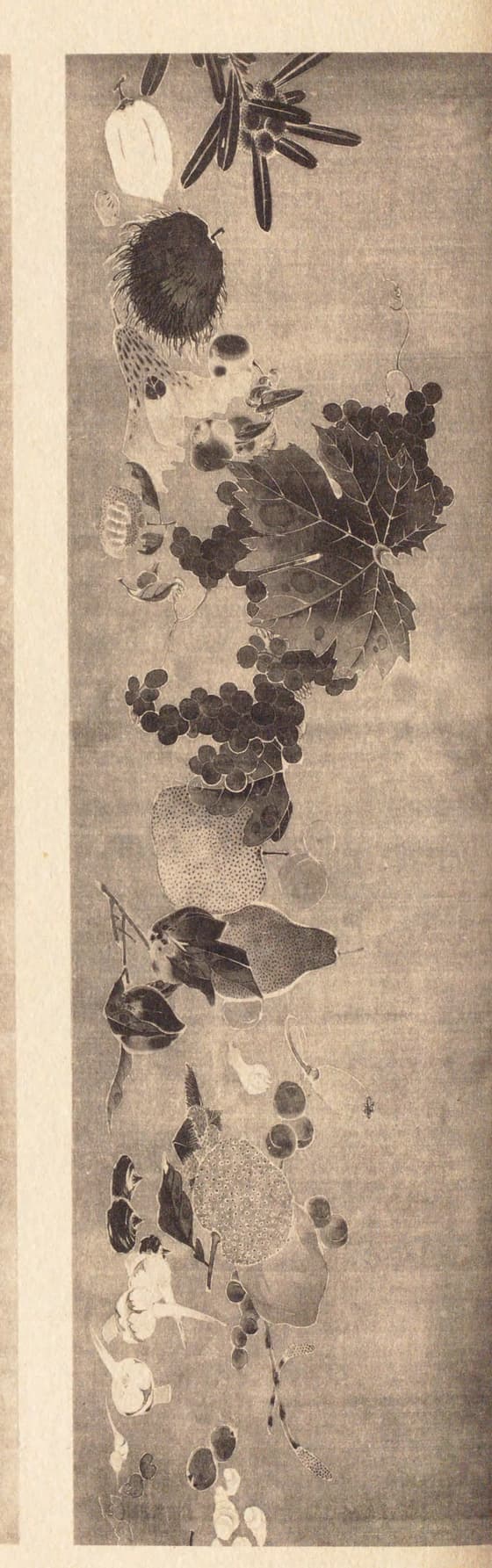 菜蟲譜（部分）