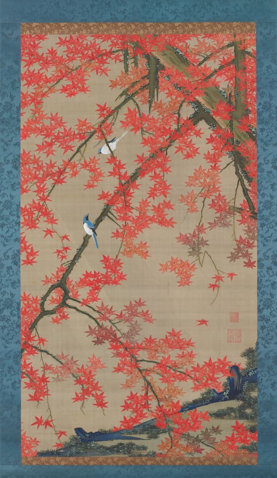紅葉小禽図（動植綵絵）