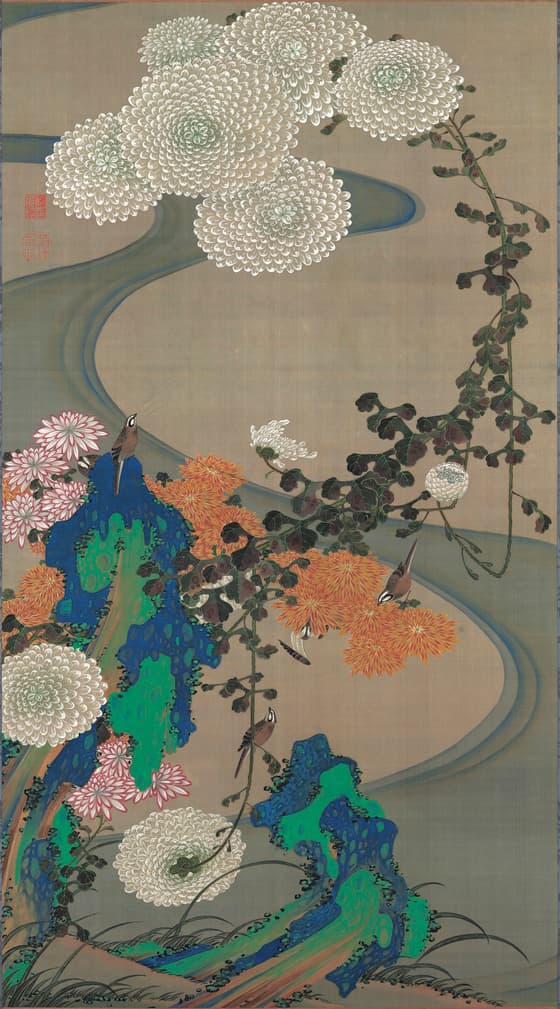 菊花流水図（動植綵絵）
