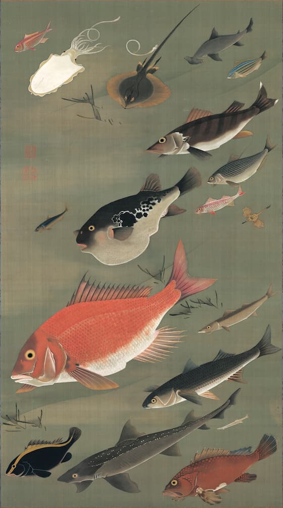 群魚図（動植綵絵）