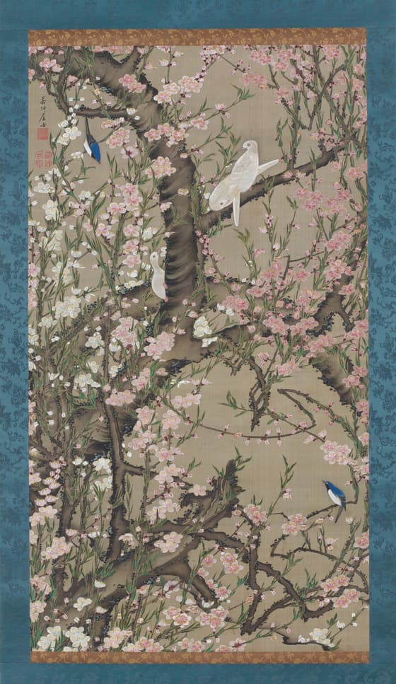 桃花小禽図（動植綵絵）