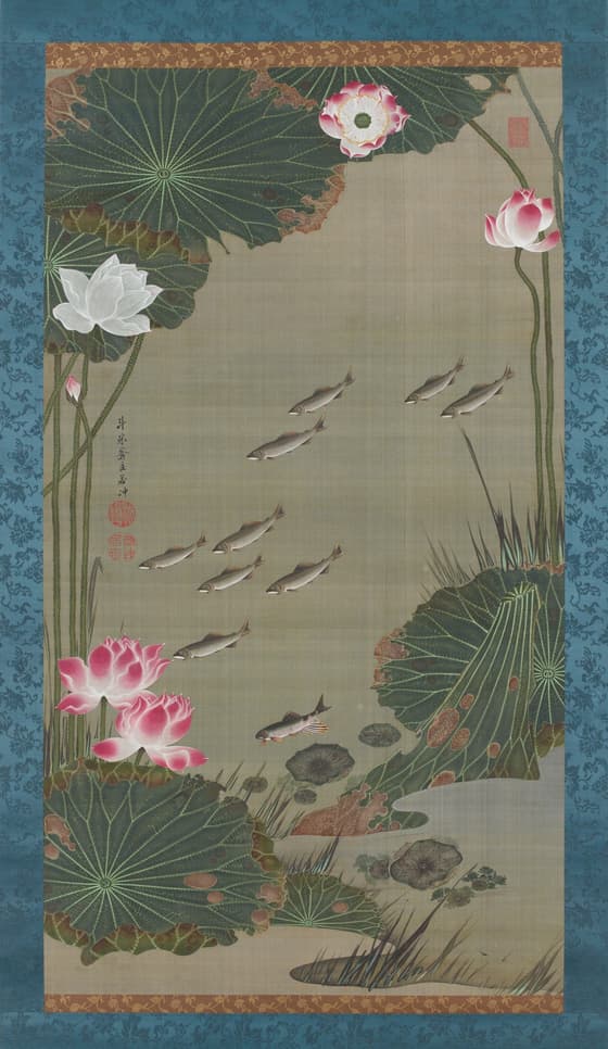 蓮池遊魚図（動植綵絵）