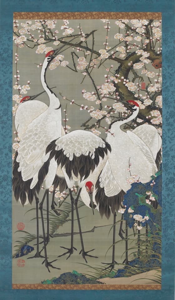 梅花群鶴図（動植綵絵）