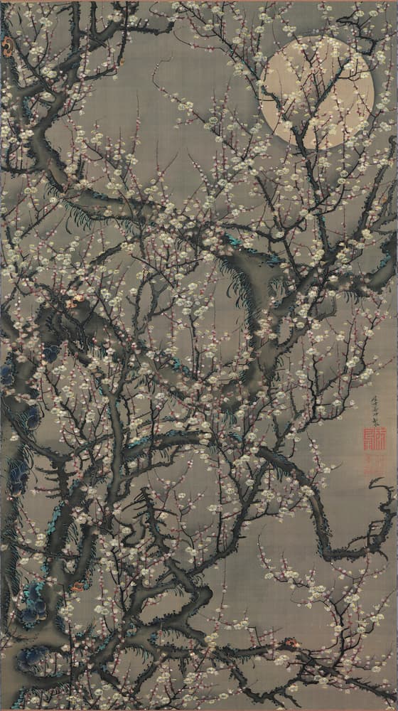 梅花皓月図（動植綵絵）