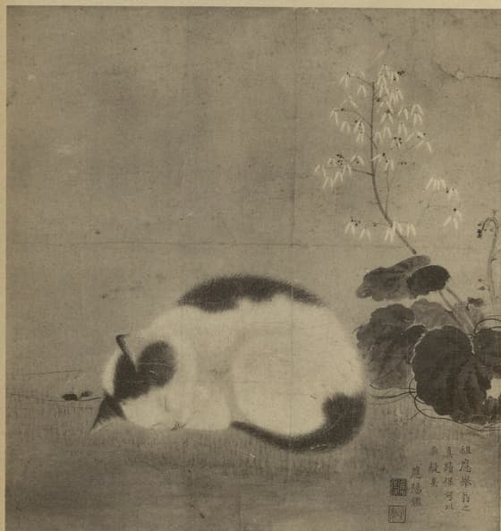 睡猫図