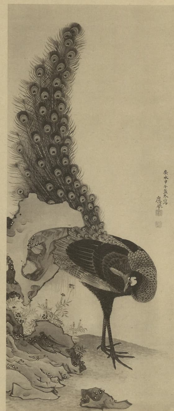 孔雀図