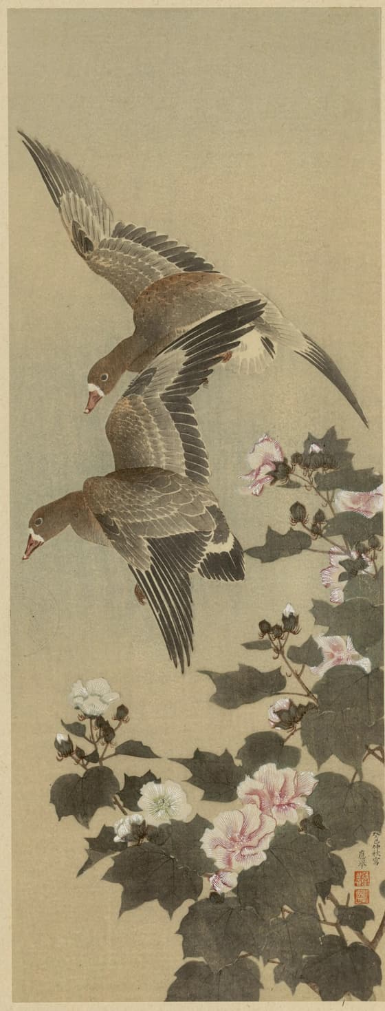 芙蓉飛雁図