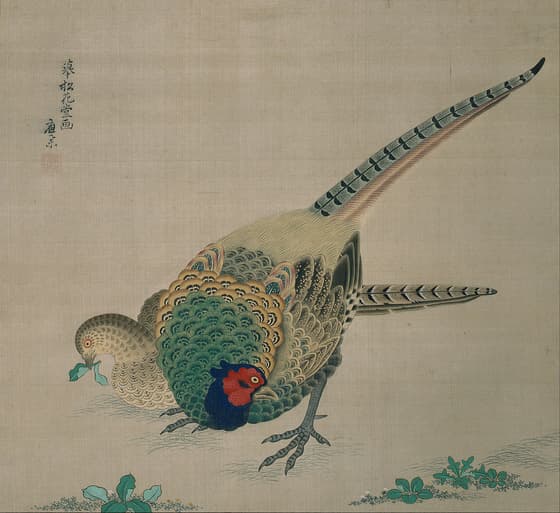 雉子図