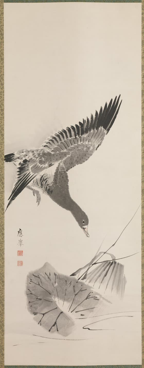 猫鵞鳥図　鵞鳥