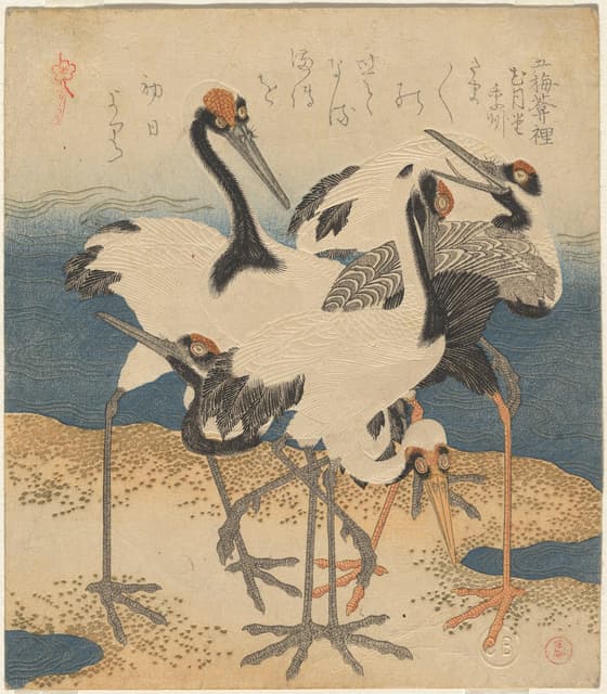 砂洲の五羽の鶴