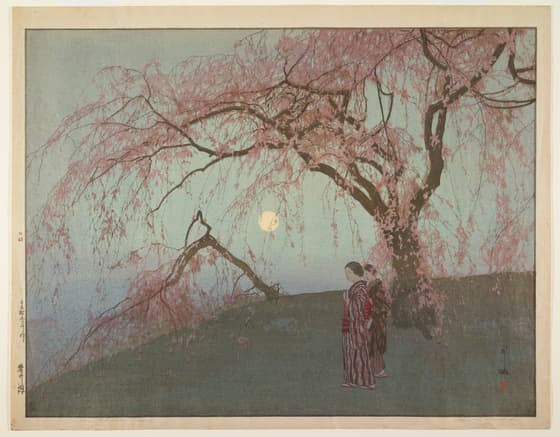 Kumoi Cherry Trees