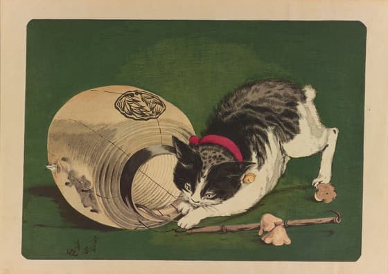 猫と提灯