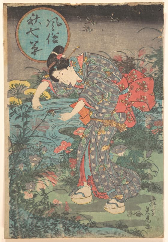 風俗秋七草