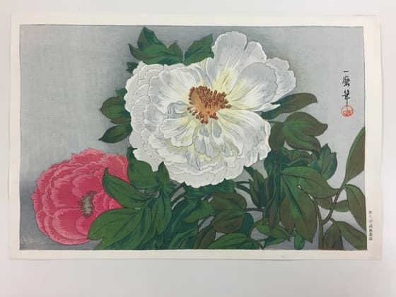 牡丹